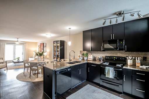 A modern kitchen with black cabinets and appliances.