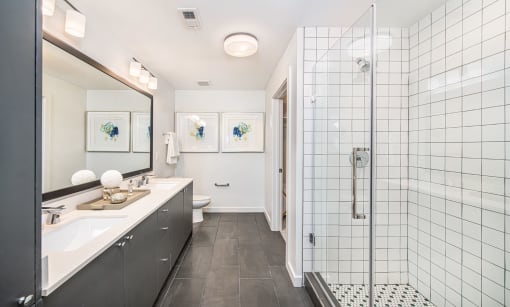Bathroom at Deca Apartments, South Carolina, 29601
