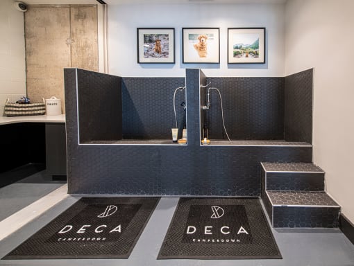 Pet spa at Deca Apartments, South Carolina