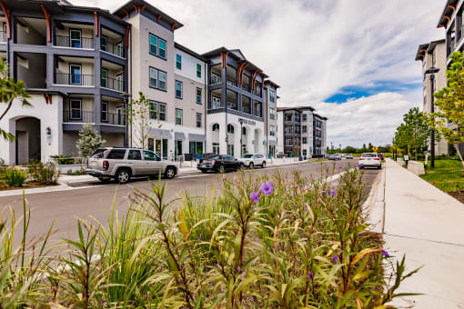 Exterior buildings and drive at Harrison Apartments, Sarasota, 34243