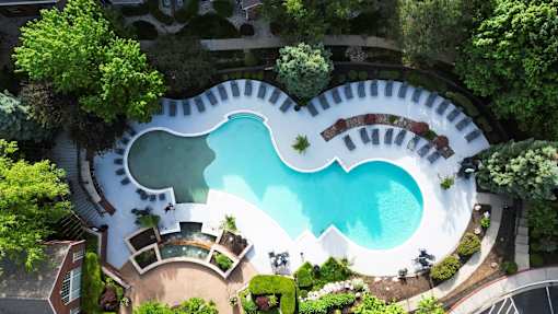 A swimming pool surrounded by trees and bushes.