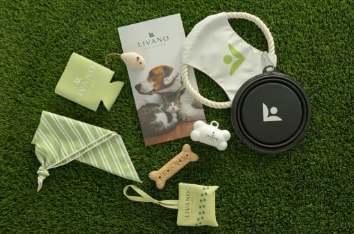 a picture of a dog food bag and other dog food items on a grassy field
