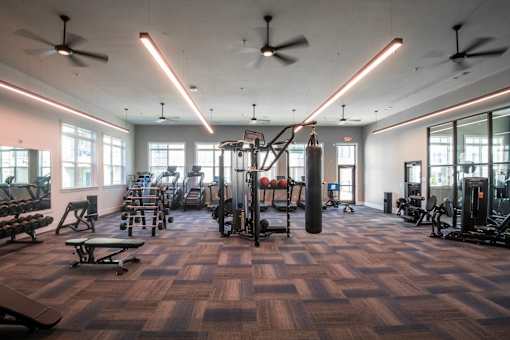 Modern Gym at The One at Millington, Millington, Tennessee