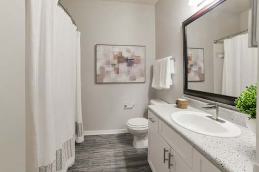 A bathroom with a toilet, sink, and mirror. at Madison Shelby Farms, Memphis, Tennessee