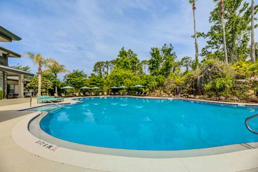 A large blue swimming pool surrounded by trees and a building.