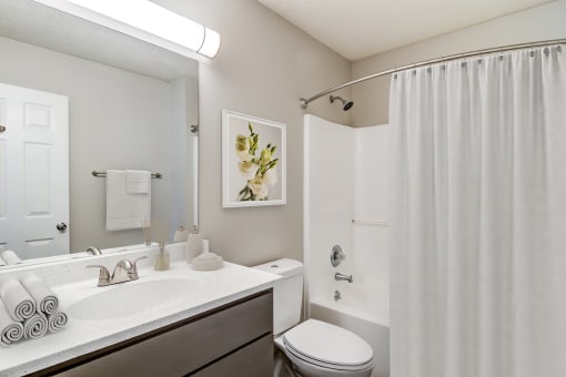 a bathroom with a shower and a sink and a toilet  at Serene at Creekstone, Georgia