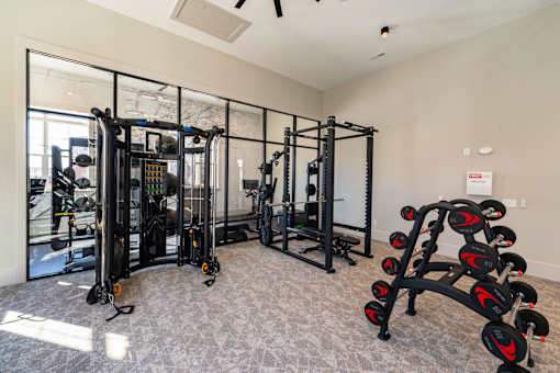 a gym with weights and cardio equipment at The One at Spartanburg, Spartanburg, South Carolina