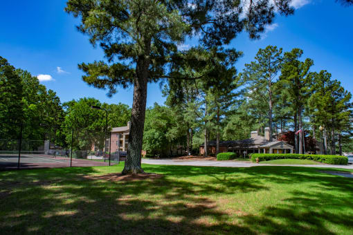 a large tree in the middle of a grass field at The Summit Apartments, Tennessee, 38128