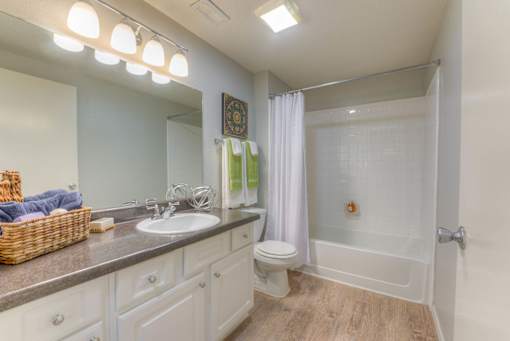 Bathroom with a white toilet at The Vineyards Apartments, Tennessee, 38138