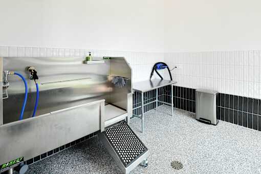 A dog wash basin with grooming equipment