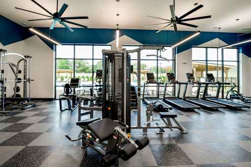 A gym with a variety of equipment including treadmills, weights, and a bench press.