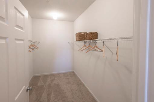 Large Walk-In Closets at Trailside at Greenline, Tennessee