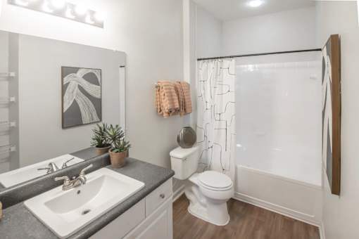 Bathroom With Bathtub at Trailside at Greenline, Cordova, TN
