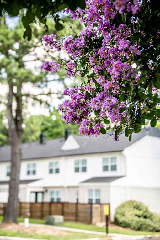 Courtyard With Flowers at The Garden District Apartments, Germantown, 38138