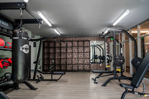 A gym with a punching bag and weights at Harbor Side at Conwood Flats Apartments in Uptown Memphis, TN