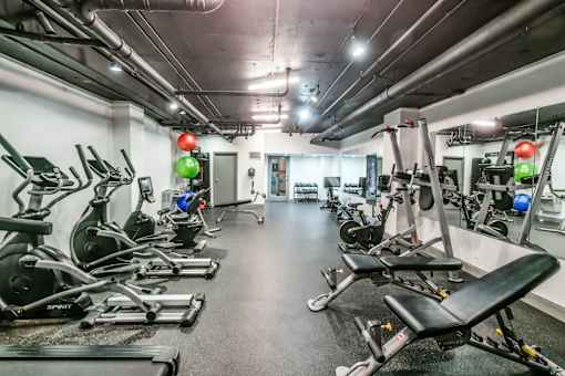 A gym with a row of treadmills and elliptical machines.