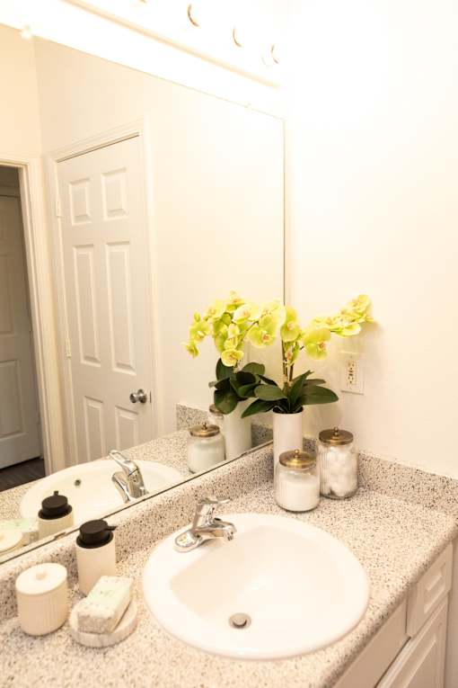 White sink at Lakeside Villas Apartments, Hampton, 30228