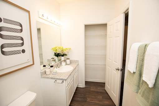 Guest Bathroom at Lakeside Villas Apartments, Georgia
