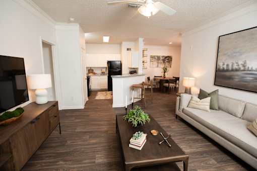 Luxury Living Room at Lakeside Villas Apartments, Georgia