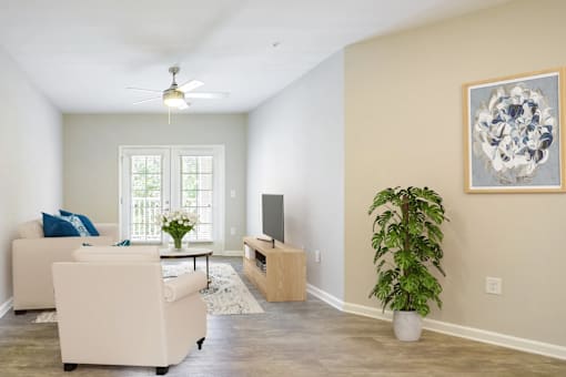 A living room with a white sofa, a television, and a plant.