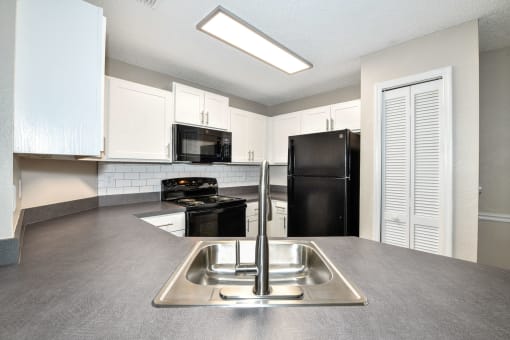 Stainless Steel Sink With Faucet In Kitchen at Paradise Island, Jacksonville, 32256