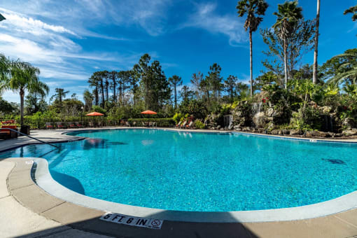 Super Pool with Rock Grotto and Waterfall - Paradise Island at Paradise Island, Jacksonville, FL
