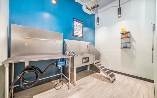 Pet Spa at The Baxly, Savannah, GA, Georgia , 31401