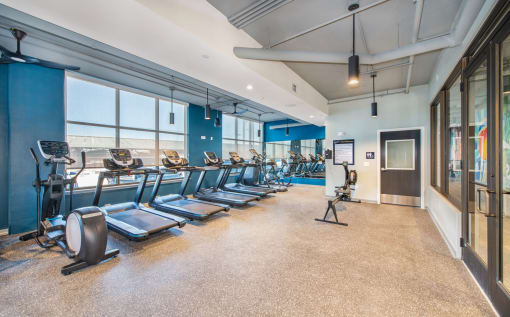 a fitness room with cardio equipment and windows at the briggs  stratton gym at The Baxly, Georgia