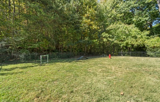 Dog Park at Rise at Signal Mountain, Chattanooga, TN, 37405
