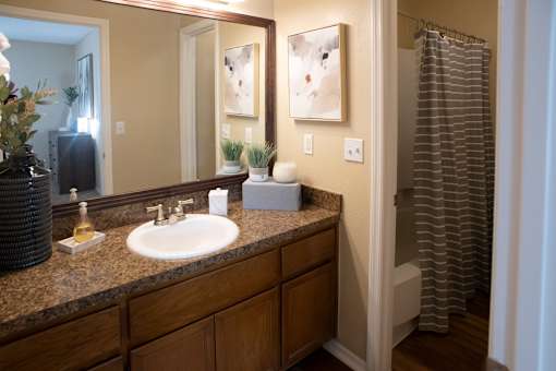 Bathroom with a Mirror at Stewarts Ferry Apartments, Nashville, Tennessee