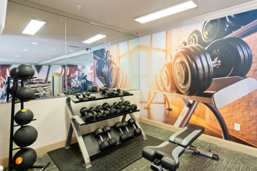 Gym with Free Weights at Sugarloaf Crossing Apartments, Lawrenceville, Georgia