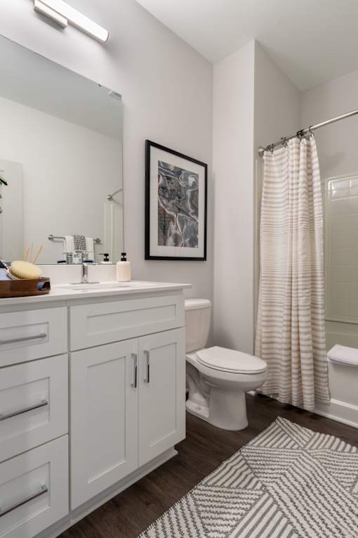 Secondary Bathroom at The One at Millington, Millington, TN