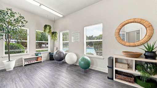 A room with a mirror, a tree, and exercise balls.