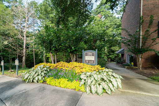 Landscaping at Villas on Briarcliff, Atlanta, GA