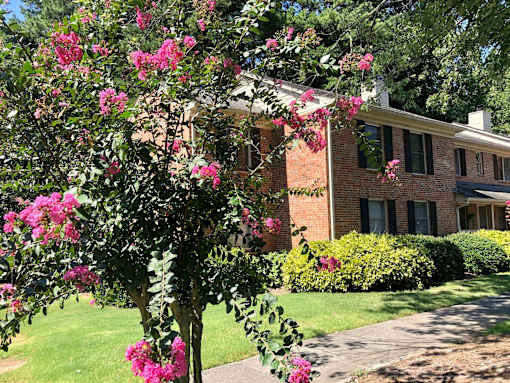 Exterior Flowers at Villas on Briarcliff, Georgia, 30329