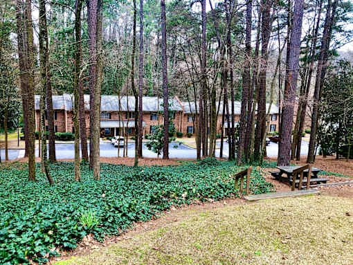 Outdoor Foliage at Villas on Briarcliff, Georgia, 30329