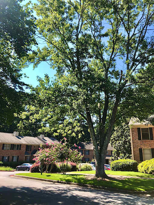 Exterior Porch at Villas on Briarcliff, Atlanta