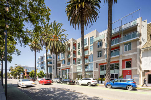 an exterior view of an apartment building with palm trees in the foreground