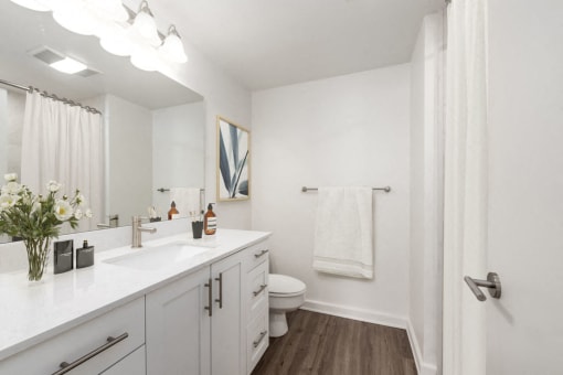 Bathroom with white cabinetry and white countertop