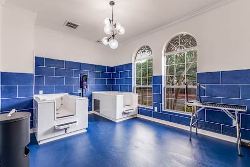A room with blue floors and white walls has a window with a view of trees.