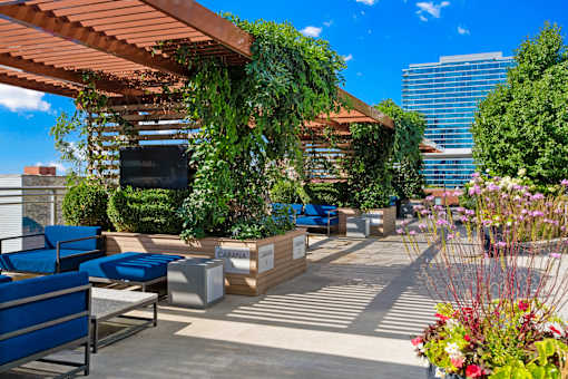 Relaxing Cabana with TV at 1001 South State, Illinois, 60605