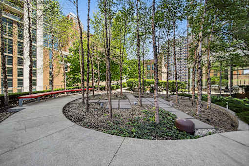 Birch Grove Area at South Loop apartments in Chicago