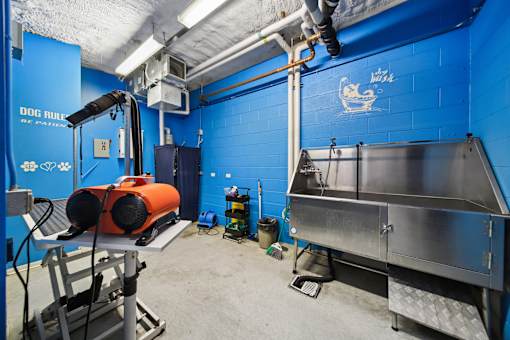 South Loop apartment dog wash station and pet spa