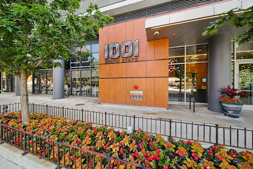 1001 South State apartment entrance Chicago