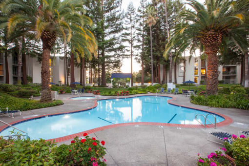 Invigorating Swimming Pool at Castlewood, Walnut Creek, California