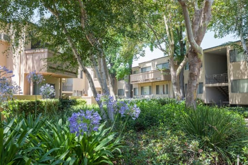 Courtyard With Green Space at The Glens, California