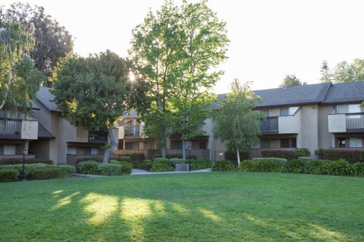 Lush Landscaping at Carrington Apartments, Fremont, CA, 94538