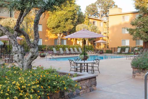 Poolside Dining Tables at The Monterey, California