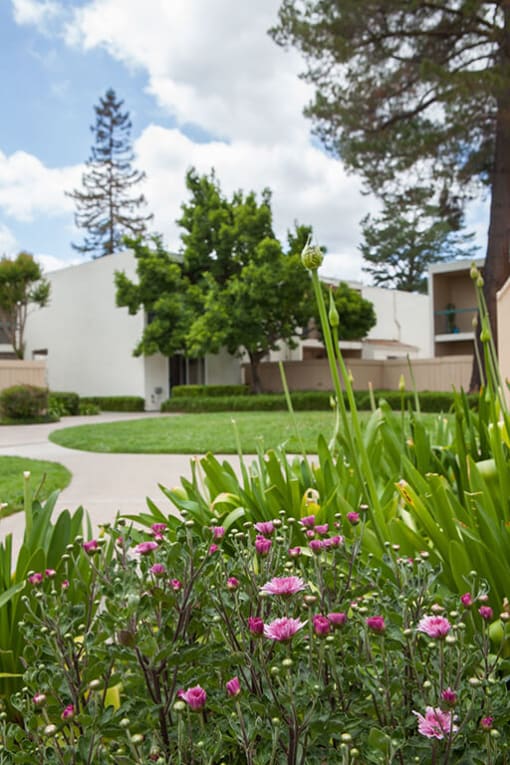 Courtyard With Garden Space at Diablo Pointe, Walnut Creek, 94596