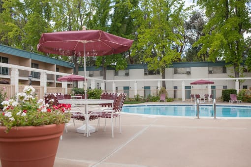 Poolside Relaxing Area at Diablo Pointe, Walnut Creek